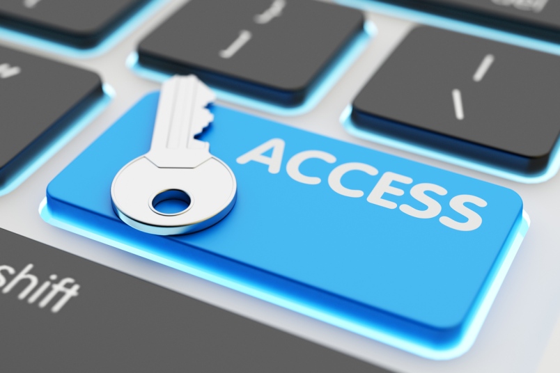 Additional restrictions on access to information of public importance