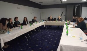 Free Press Unlimited: Kako poboljšati sigurnost novinarki u BiH
