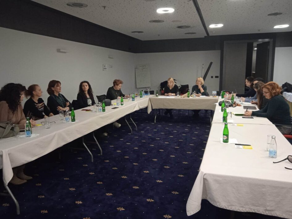 Free Press Unlimited: How to improve the safety of female journalists in Bosnia and Herzegovina