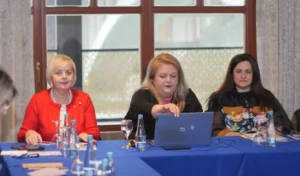 Okrugli stol u Mostaru otvorio pitanje sigurnosti i slobode novinarstva