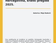 Sigurnost novinarki i medijskih radnica – Bosna i Hercegovina, kratki pregled 2025.