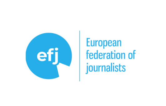 EFJ pruža podršku Udruženju BH novinari i novinarki Anisi Mahmutović suočenim s kampanjom blaćenja i tužbama za klevetu javne ličnosti Mirnesa Ajanovića